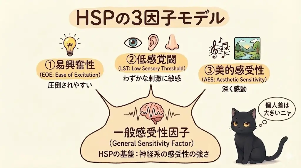 HSPの3因子モデルを示した図。易興奮性、低感覚閾、美的感受性の3要素が、神経系の感受性を基盤とする一般感受性因子の上に成り立つことを表している。個人差が大きいことも示されている。