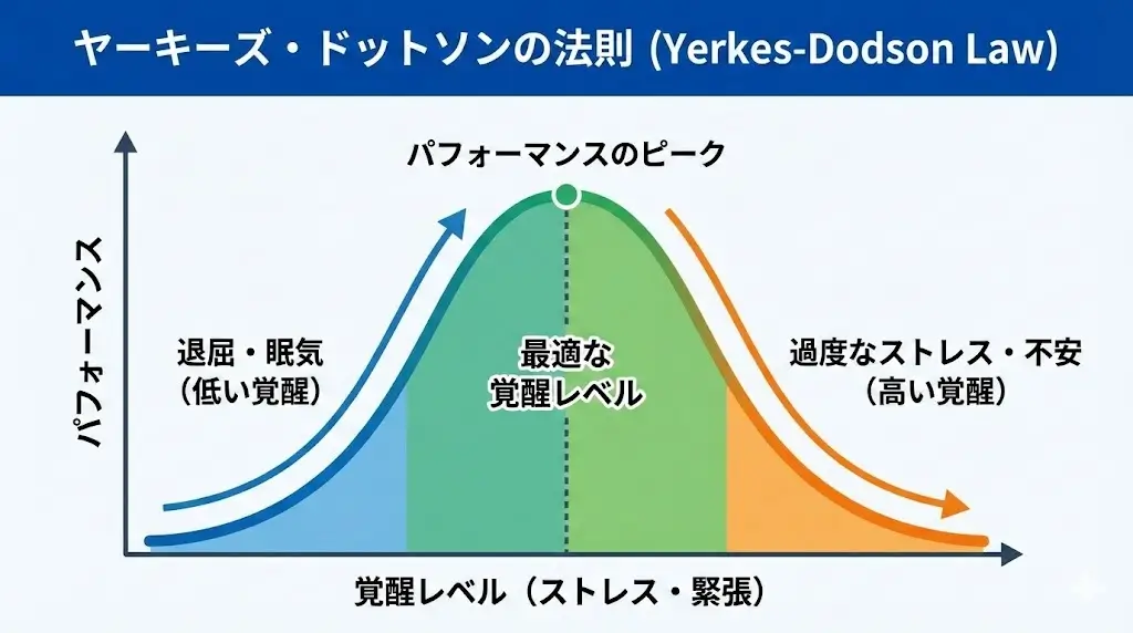 ヤーキーズ・ドットソンの法則を示す図。横軸は覚醒レベル（ストレス・緊張）、縦軸はパフォーマンス。低覚醒では退屈・眠気によりパフォーマンスが低く、覚醒が高まるにつれて向上し、最適な覚醒レベルでピークに達する。さらに覚醒が高まると過度なストレスや不安によりパフォーマンスが低下する逆U字型の関係を表している。