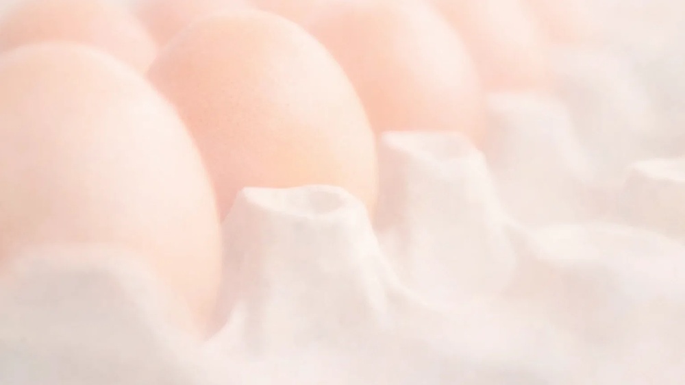 淡い色調の卵の写真|価格や価値といった社会的意味を考えるイメージ